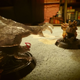 Illustration for article titled Monster Hunter 4 Ultimate CE: Unboxing!!